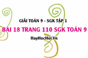 Giải bài 18 trang 110 SGK Toán 9 tập 1